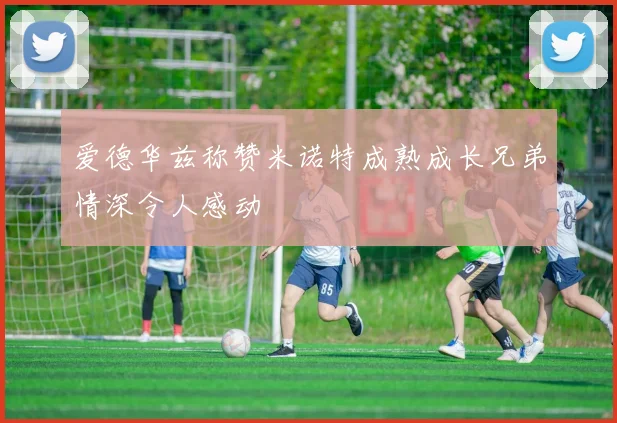爱德华兹称赞米诺特成熟成长兄弟情深令人感动