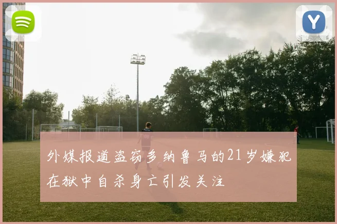 外媒报道盗窃多纳鲁马的21岁嫌犯在狱中自杀身亡引发关注